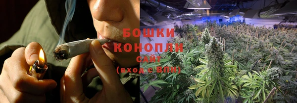 спиды Волосово