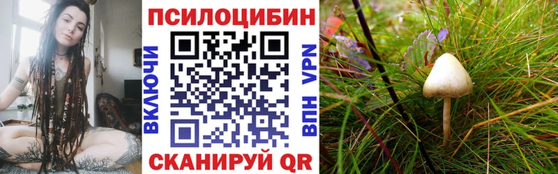 Псилоцибиновые грибы Psilocybine cubensis  Купить закладки  Вельск 